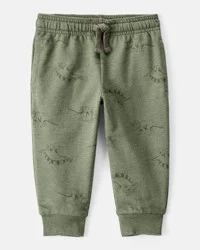 Carter's Baby Boy Dinosaur French Terry Jogger - Green Green 12M