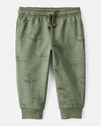 Carter's Baby Boy Dinosaur French Terry Jogger - Green Green 12M