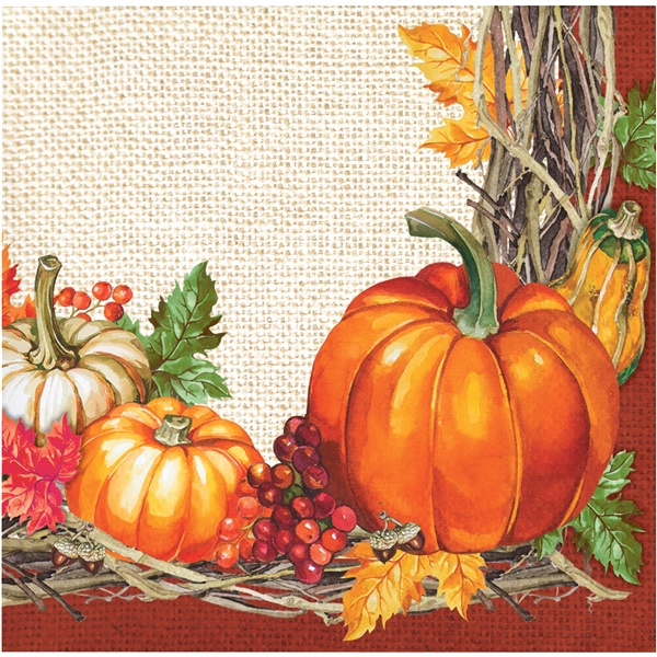 slide 1 of 1, Creative Converting Harvest Plentiful Beverage Napkin, 16 ct