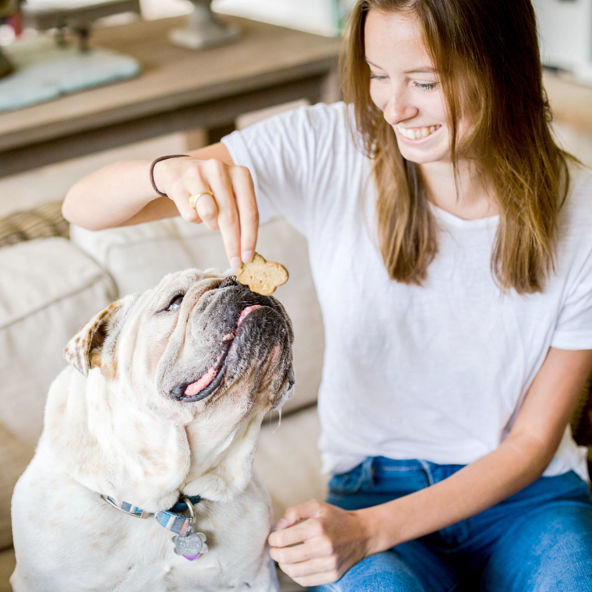 slide 7 of 9, Cloud Star Wag More Bark Less Oven Baked Grain Free Peanut Butter & Apples Dog Treats, 14 oz