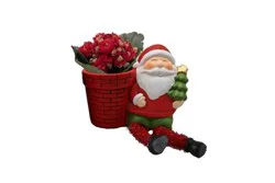 Westbrook 2.5" Kalanchoe in Santa