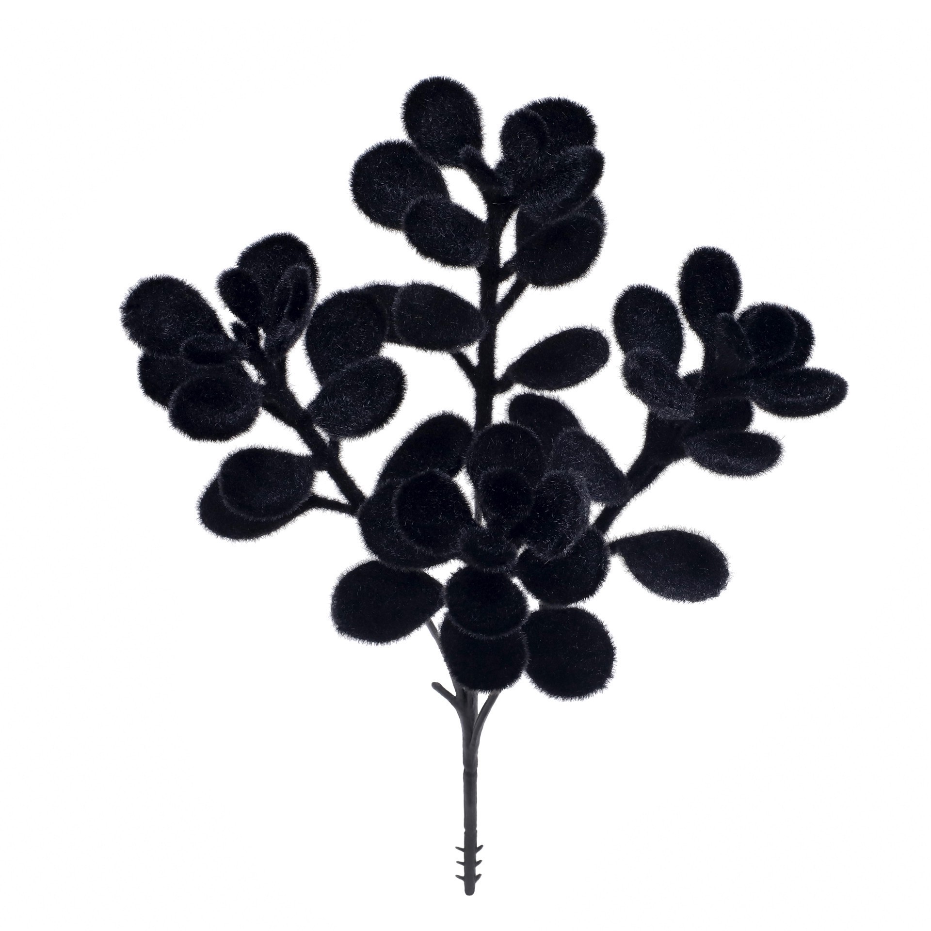 slide 2 of 3, 10" Black Boxwood Pick By Ashland, 6 in x 2 in x 10 in