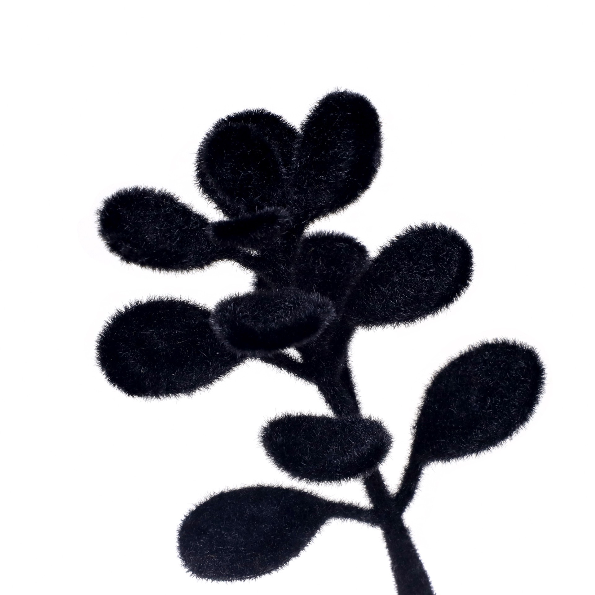 slide 3 of 3, 10" Black Boxwood Pick By Ashland, 6 in x 2 in x 10 in