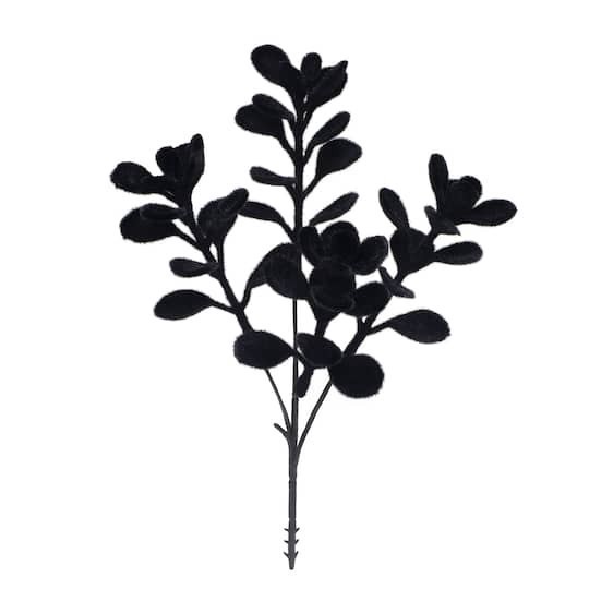 slide 1 of 3, 10" Black Boxwood Pick By Ashland, 6 in x 2 in x 10 in