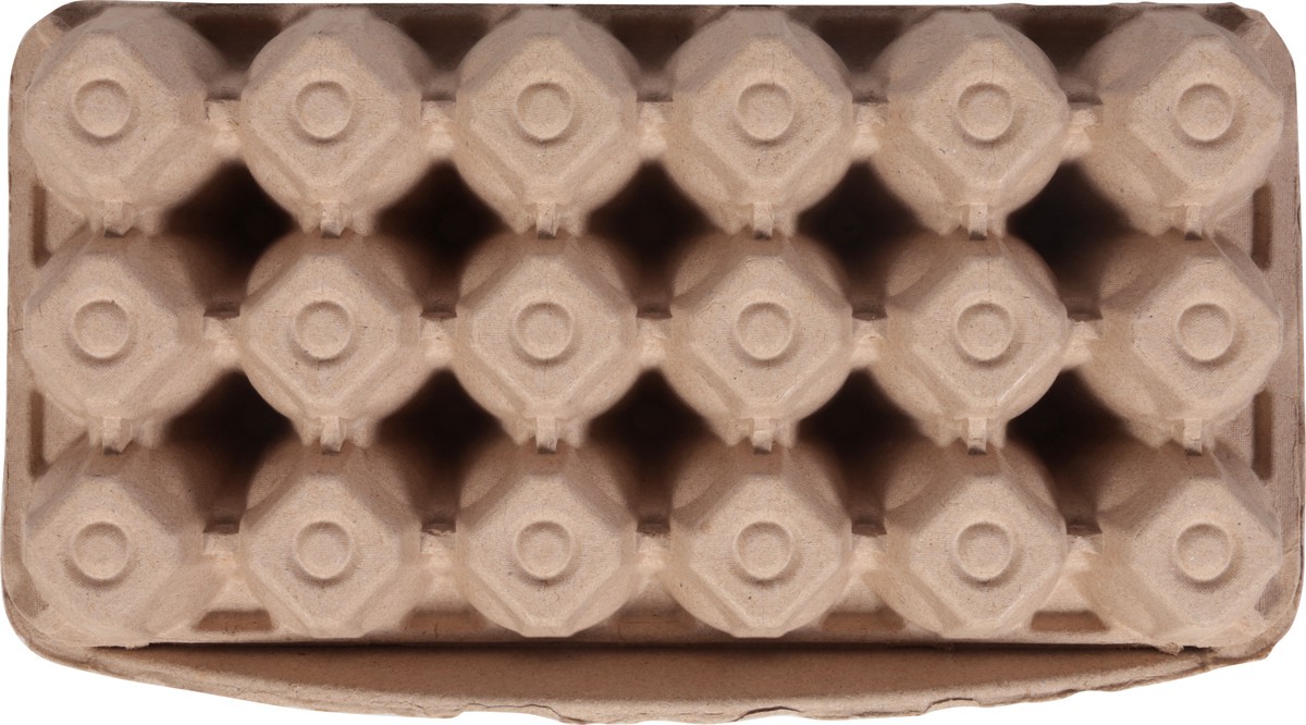 slide 2 of 15, Nest Brown Fresh Range Large Eggs 18 Each, 18 ct