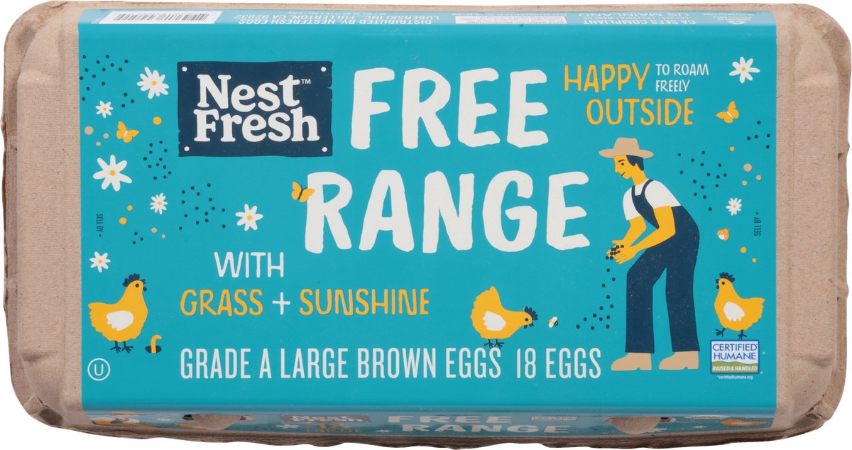 slide 15 of 15, Nest Brown Fresh Range Large Eggs 18 Each, 18 ct