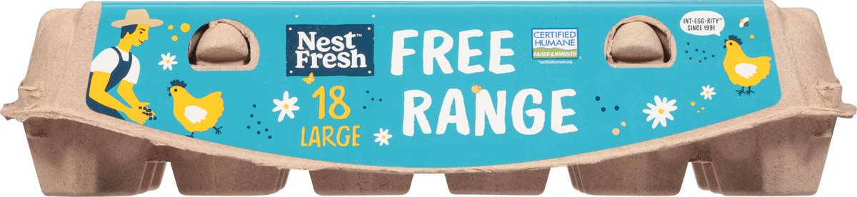 slide 5 of 15, Nest Brown Fresh Range Large Eggs 18 Each, 18 ct