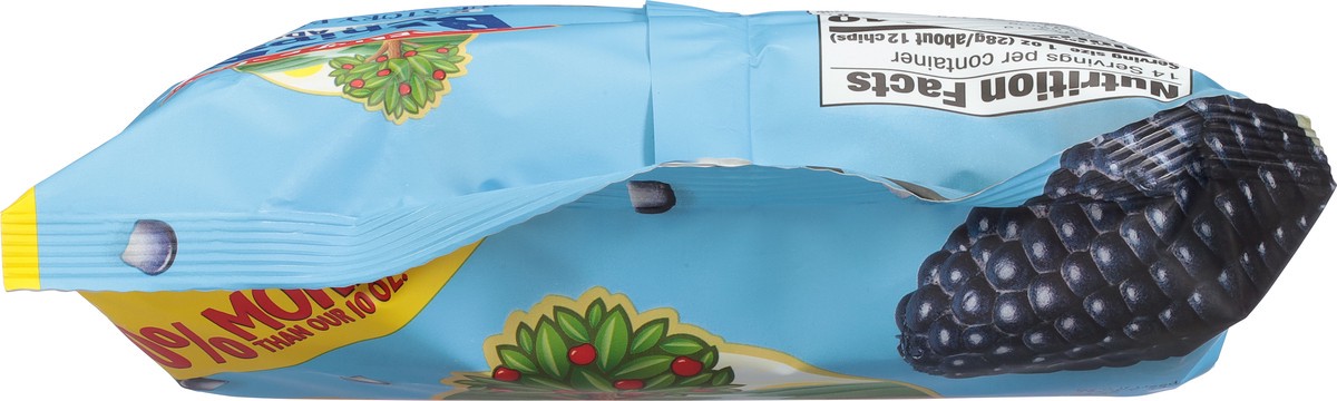 slide 6 of 11, Garden of Eatin' Blue Chips No Salt Added Corn Tortilla Chips 14 oz, 14 oz