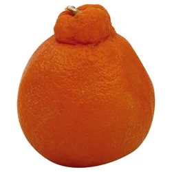 Tangelo, Minneola