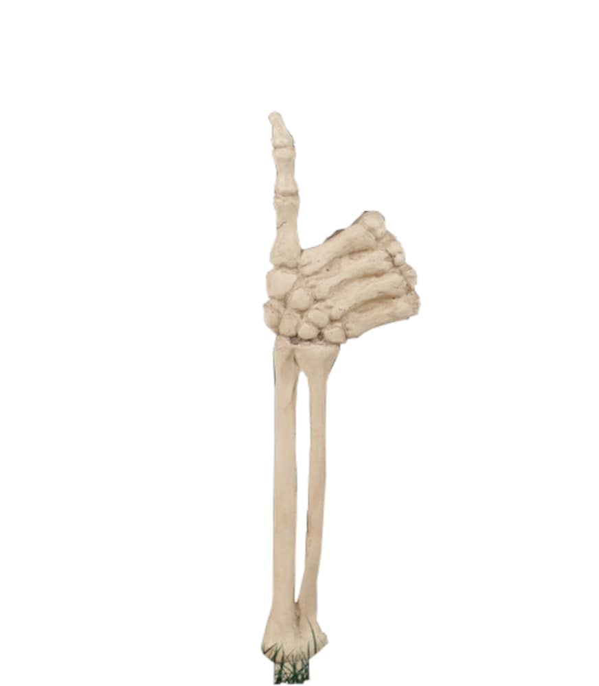 slide 1 of 1, Holiday Home Thumbs Up Bone Decoration - White, 17 in