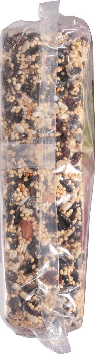 slide 8 of 9, Audubon Park Nut & Fruit Seed Cake Wild Bird Food 24 oz, 24 oz