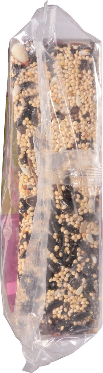 slide 9 of 9, Audubon Park Nut & Fruit Seed Cake Wild Bird Food 24 oz, 24 oz