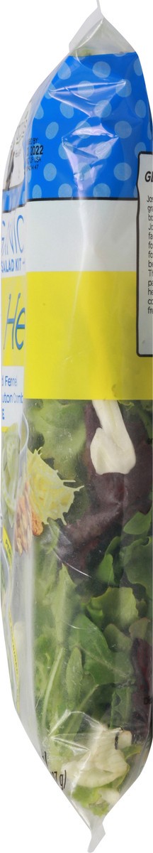 slide 6 of 12, Josie's Organics Lemon Herb Salad Kit, 9.8 oz