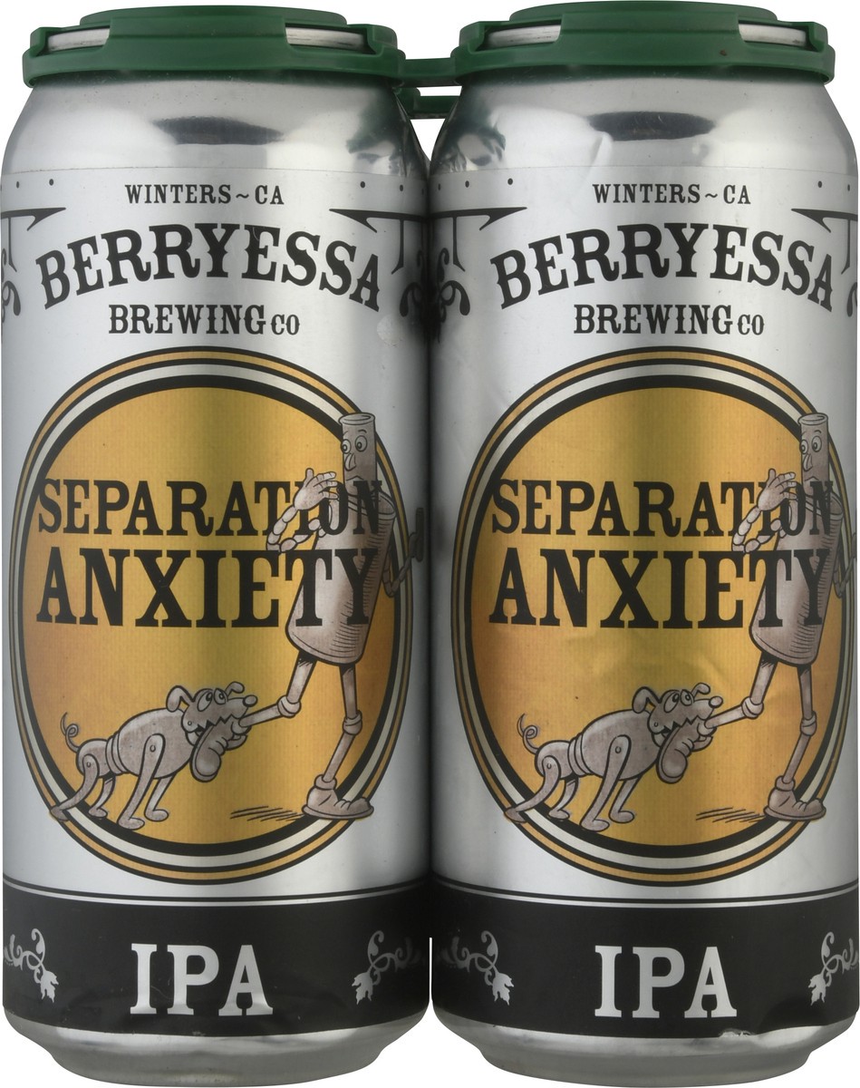 slide 1 of 10, Berryessa Brewing Co Separation Anxiety IPA Beer 4 ea, 4 ct
