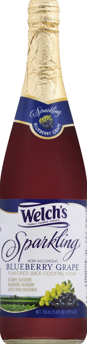 slide 1 of 5, Welch's Juice Cocktail - 25.4 oz, 25.4 oz