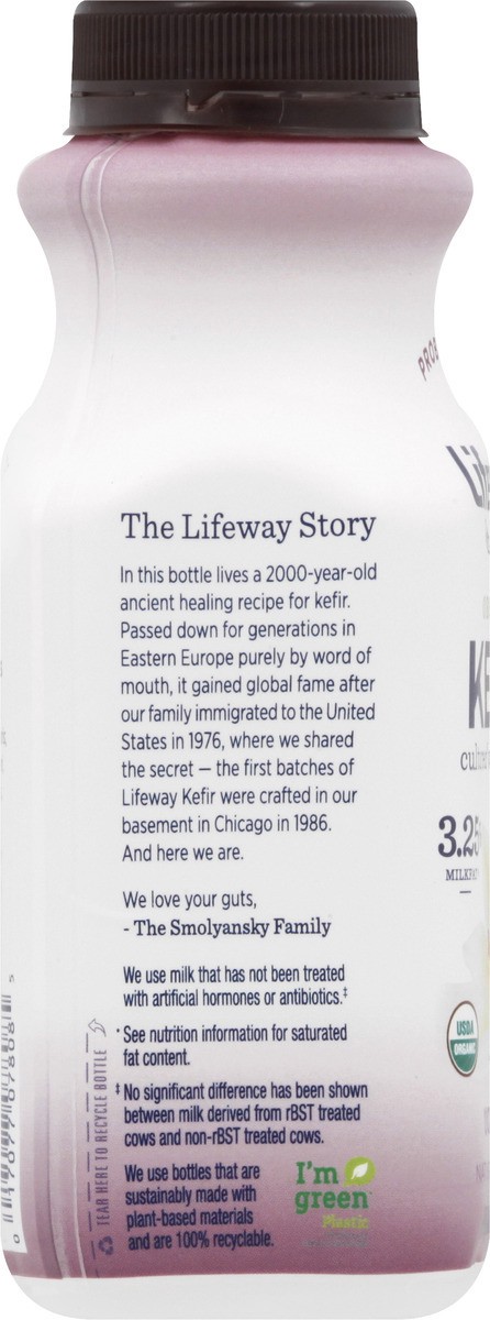 slide 7 of 10, Lifeway Organic Vanilla Kefir, 8 oz