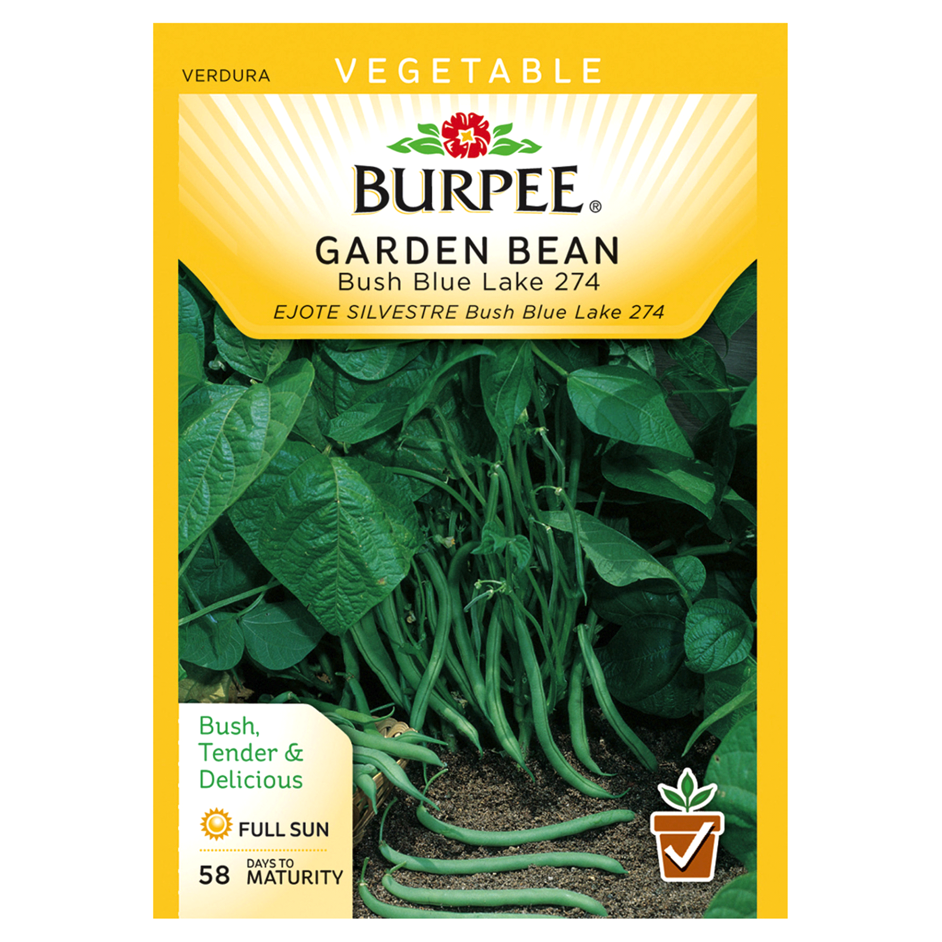 slide 1 of 1, Burpee Vegetable Garden Bean Bush Blue Lake 274, 1 ct