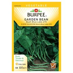 Burpee Bush Blue Lake 274 Vegetable Garden Bean Seeds