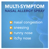 slide 22 of 25, Meijer Triamcinolone Acetonide Nasal Allergy Spray, 55 mcg per spray, 0.57 oz