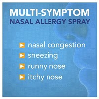 slide 23 of 25, Meijer Triamcinolone Acetonide Nasal Allergy Spray, 55 mcg per spray, 0.57 oz