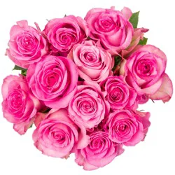 K Roses Dozen Pink