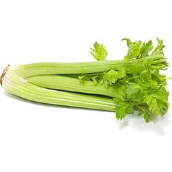 Tanimura & Antle Fresh California Celery