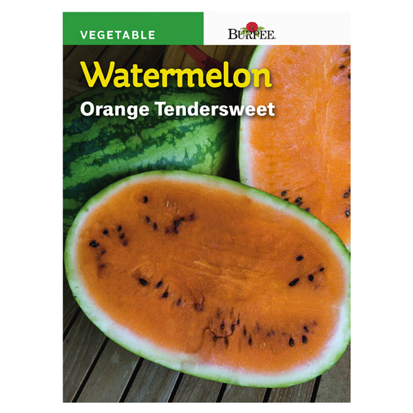 slide 1 of 1, Burpee Watermelon Orange Tendersweet Seeds, 1 ct