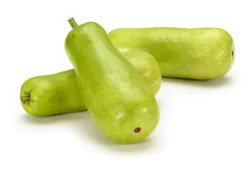 Gourd Pumpkins Ornamental