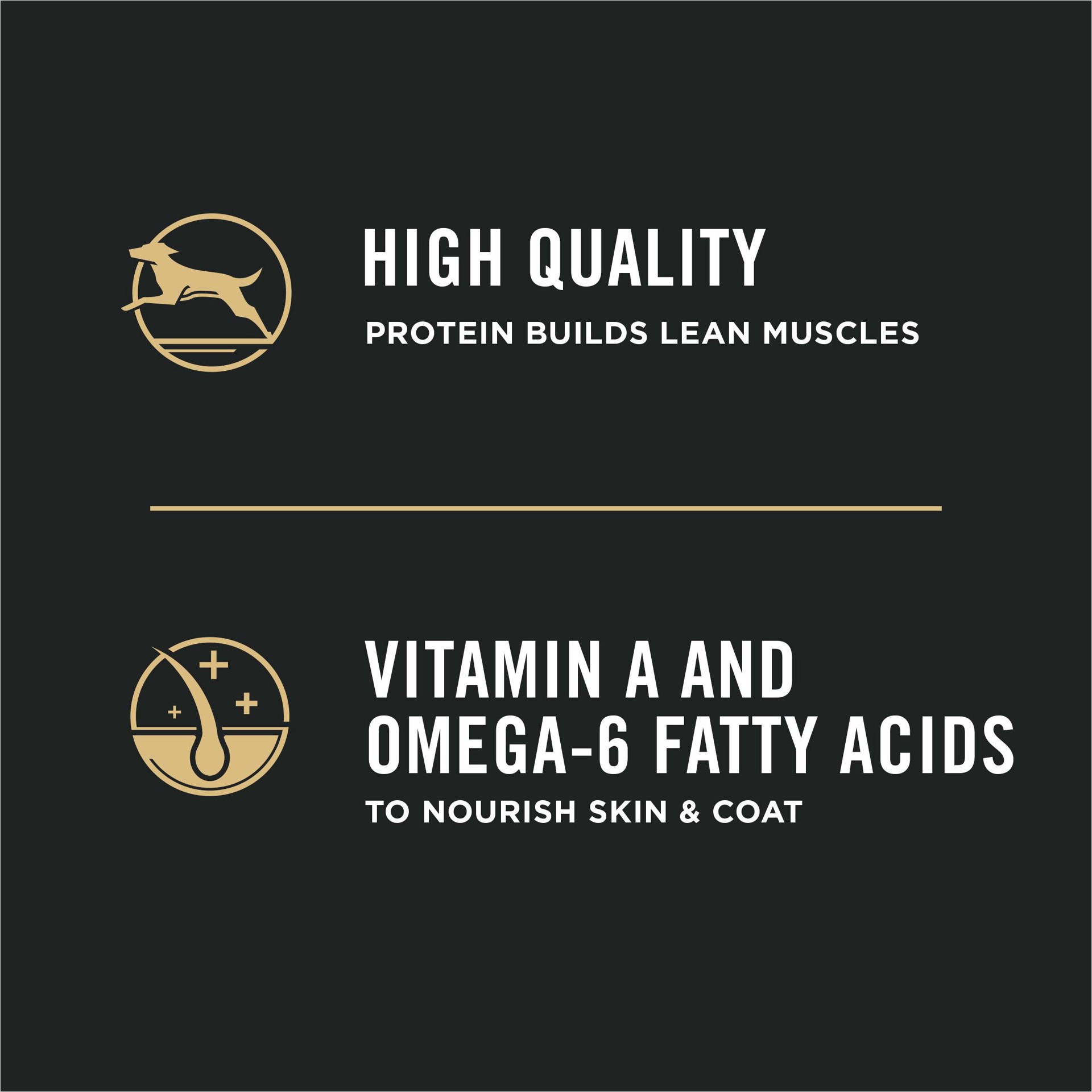 slide 2 of 8, Purina Pro Plan High Protein Puppy Food DHA Lamb & Rice Formula, 6 lb