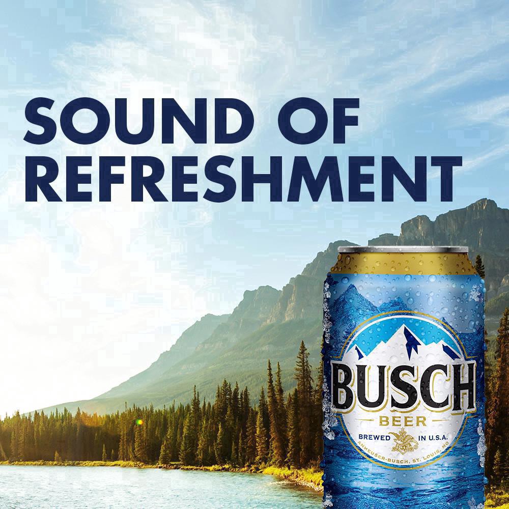 slide 26 of 53, Busch Beer  30 pk / 12 fl oz Cans, 360 fl. oz