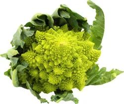Romanesco broccoli