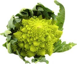 Romanesco broccoli