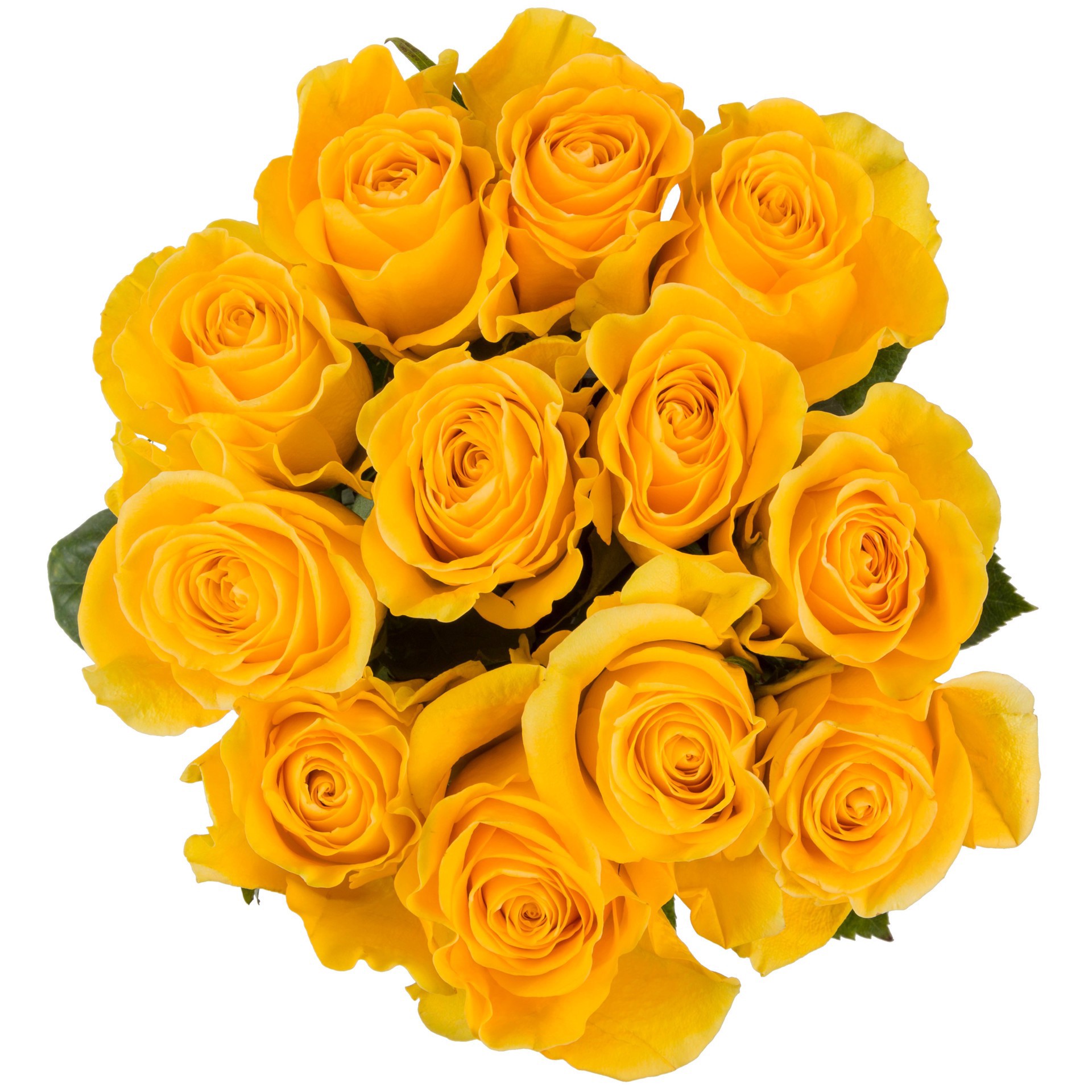 slide 1 of 1, K Roses Dozen Yellow, 