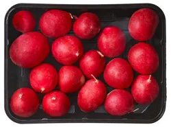 Radish Red Tray