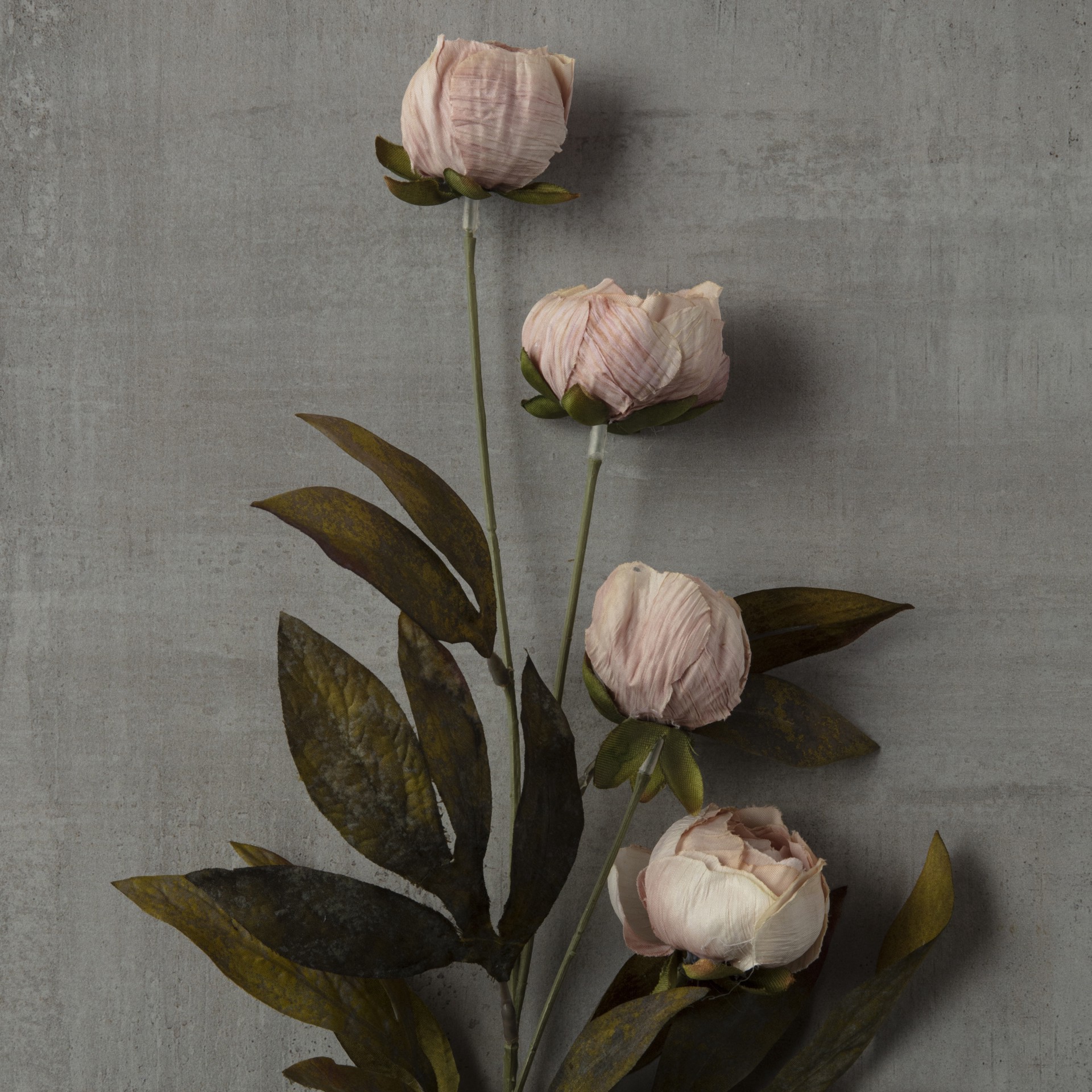 slide 3 of 5, Tan Peony Stem By Ashland, 11.5 in