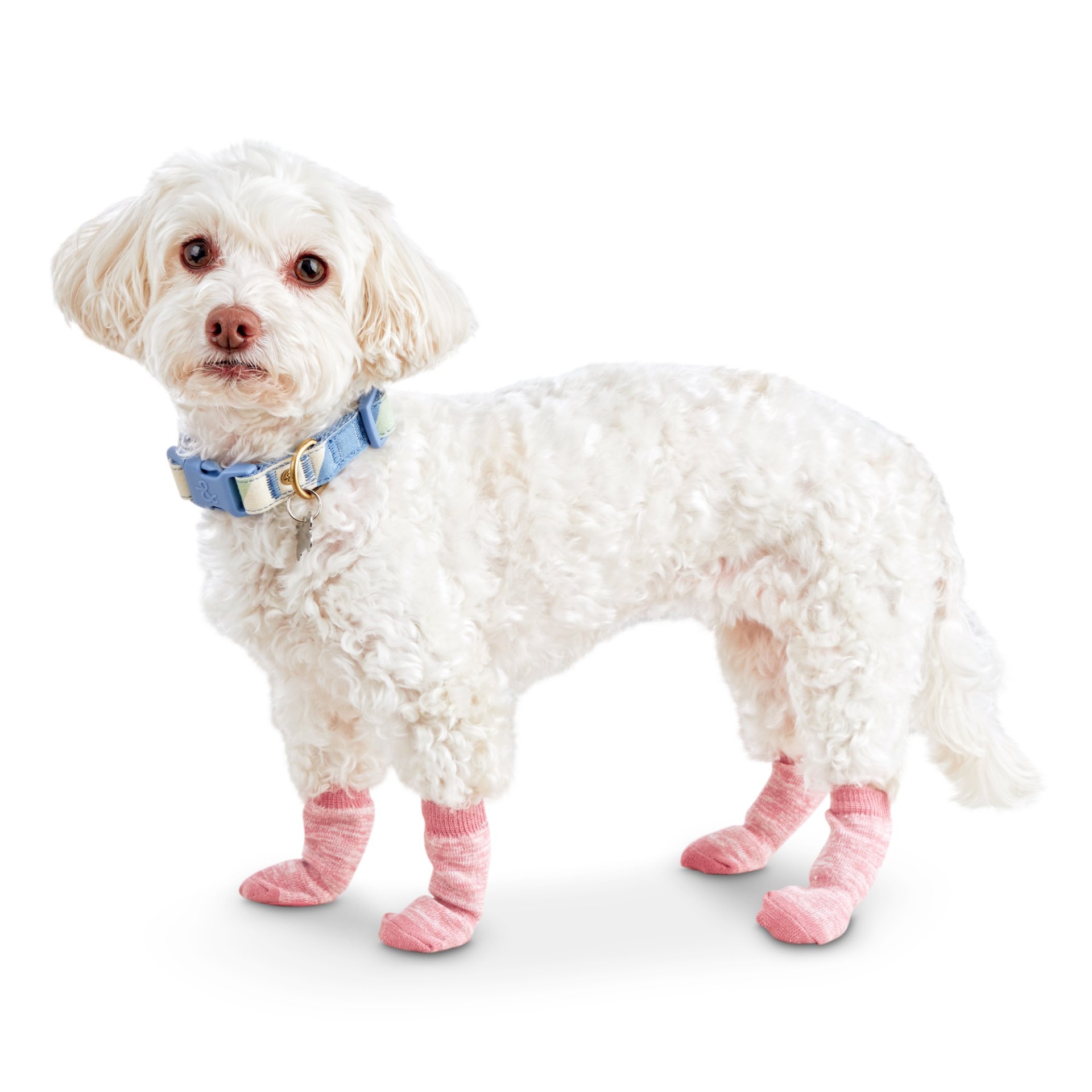 slide 1 of 1, Serenity Pink Peace Sign Dog Socks, LG