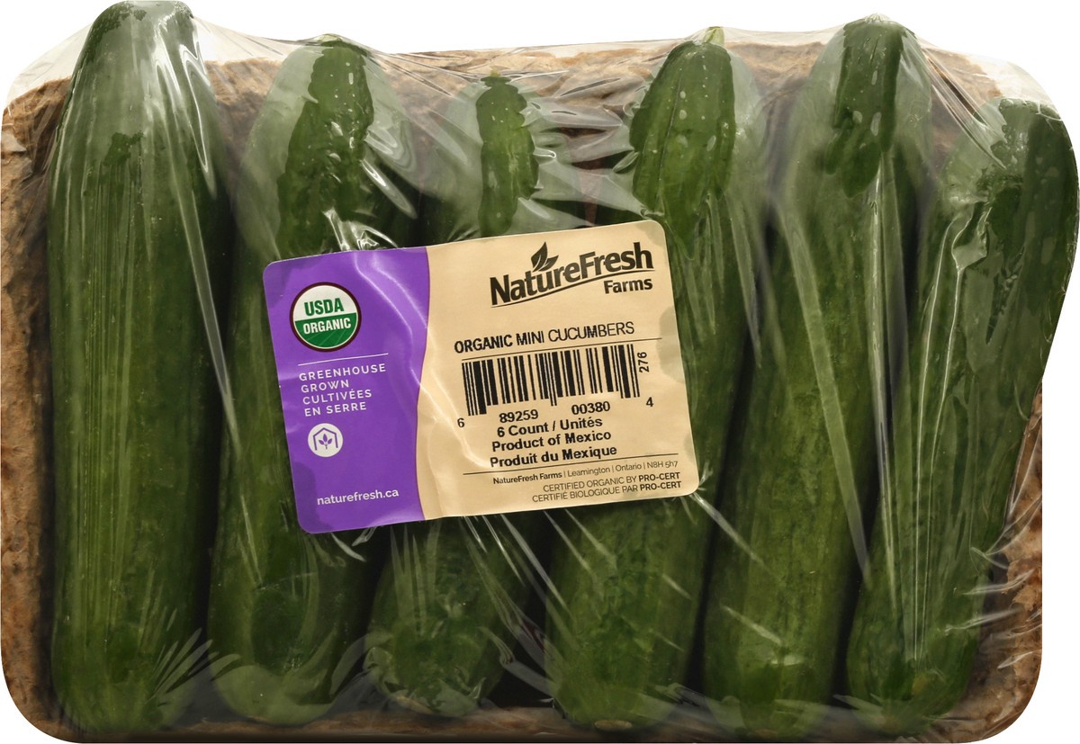 slide 1 of 1, NatureFresh Farms Mini Organic Cucumbers 6 ea, 1 ct