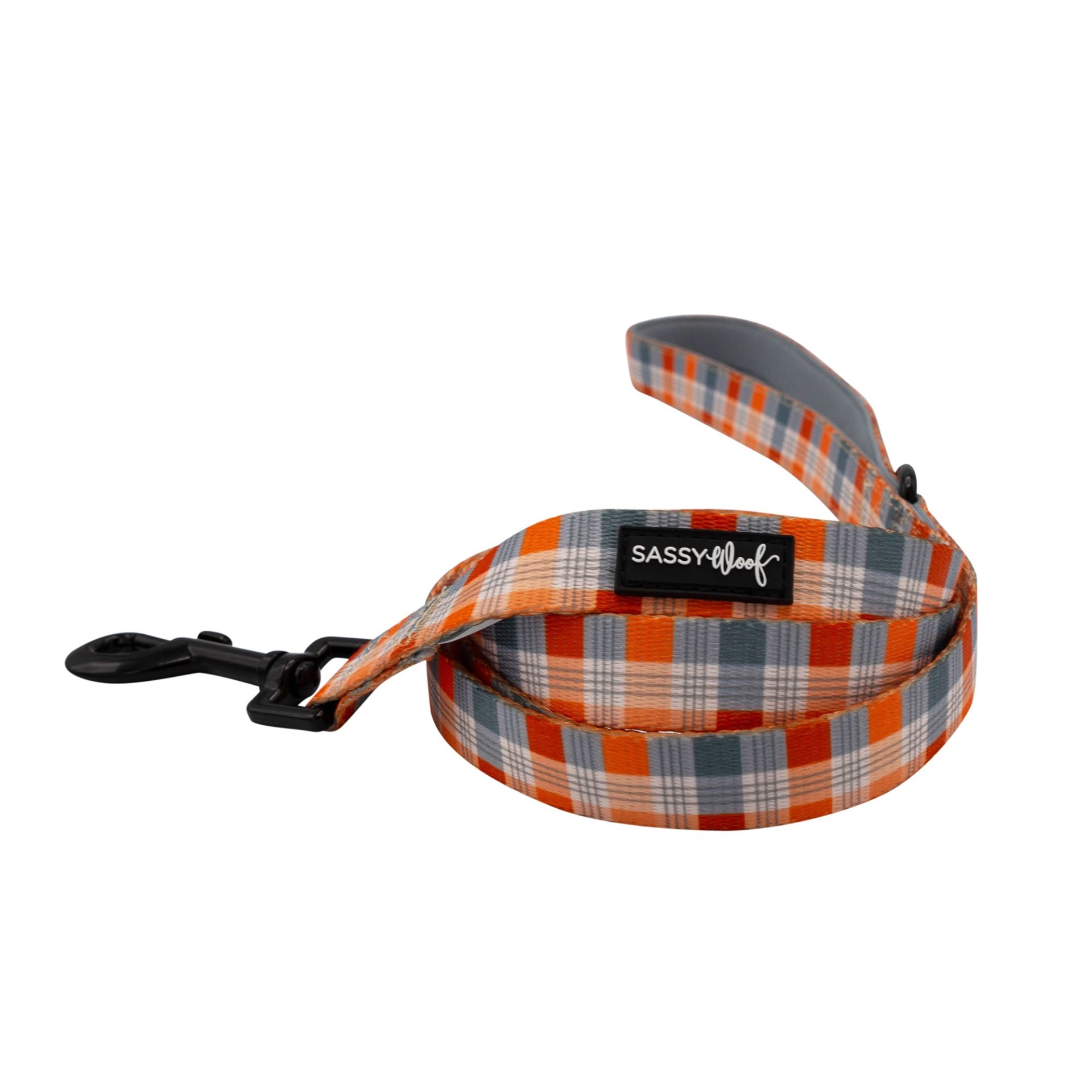 Five Foot Plaid Dog Leash