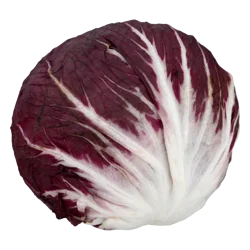 Conentional Radicchio Lettuce