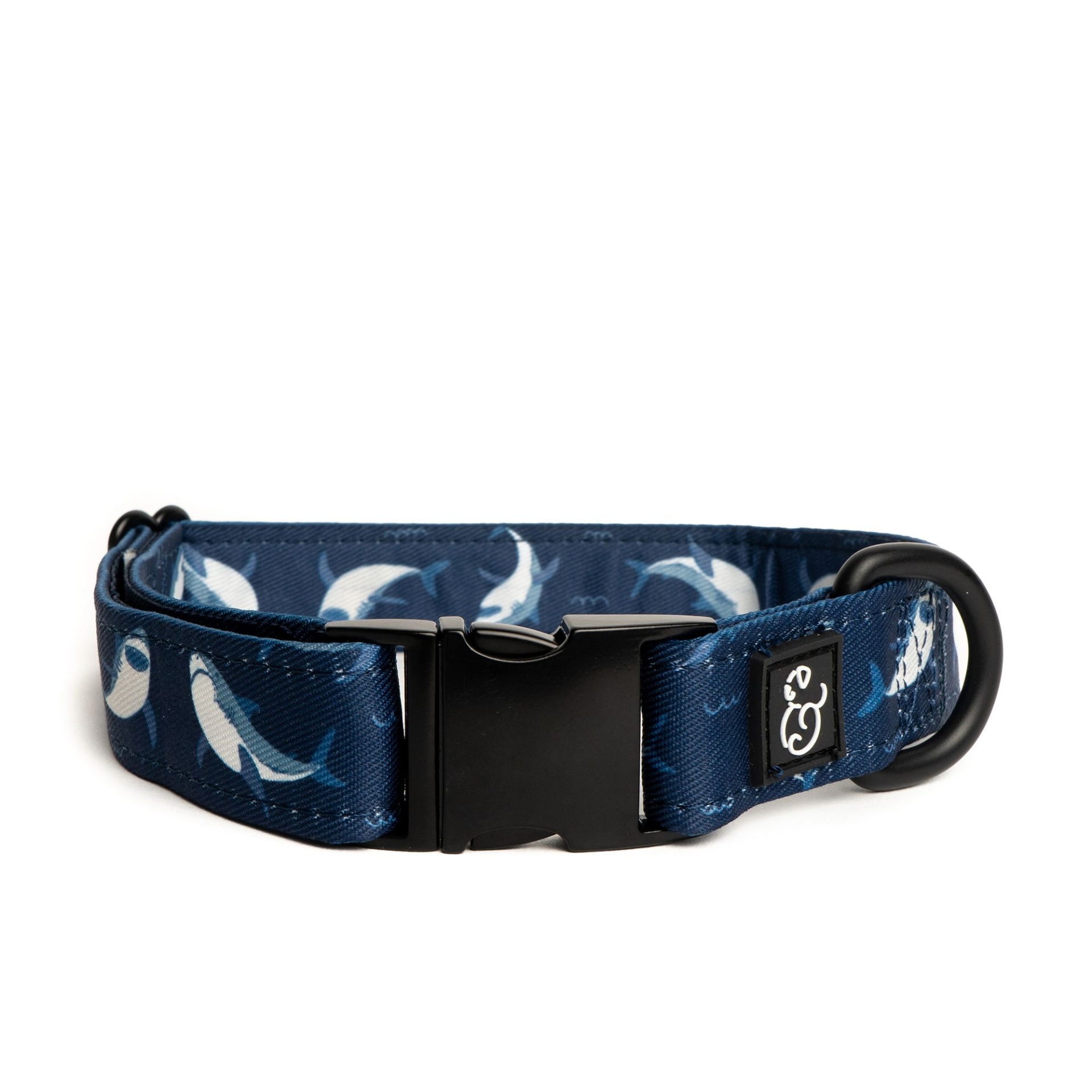 slide 1 of 1, Lucy & Co. Shark Attack Dog Collar, LG