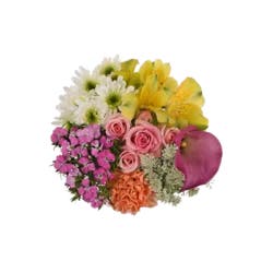 Bloom Haus Ruffle Bouquet - Hot Pink / Green / Purple