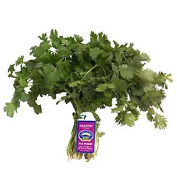 Organic Cilantro Full Case