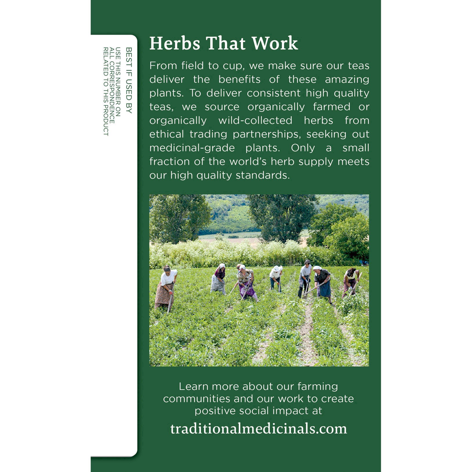 slide 31 of 49, Traditional Medicinals Turmeric & Ginger, 16 ct