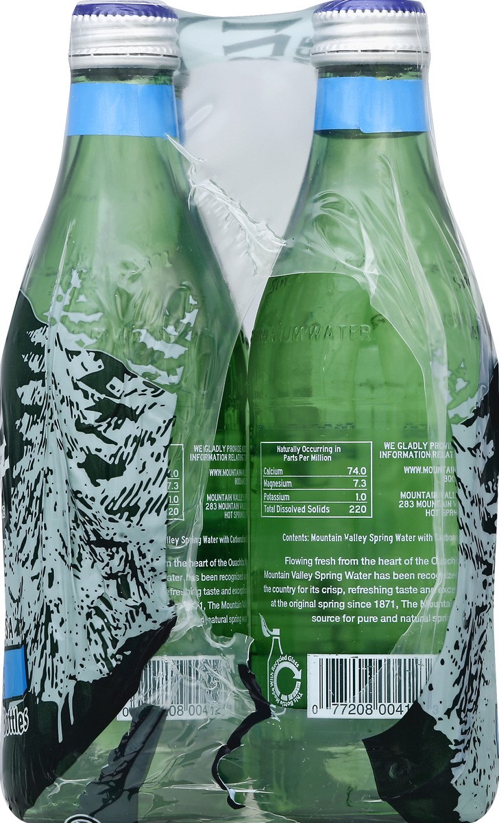 slide 3 of 4, Mountain Valley Sparkling Water - 4 ct; 11.3 fl oz, 4 ct; 11.3 fl oz