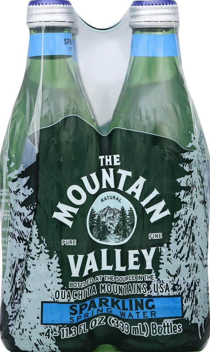 slide 2 of 4, Mountain Valley Sparkling Water - 4 ct; 11.3 fl oz, 4 ct; 11.3 fl oz