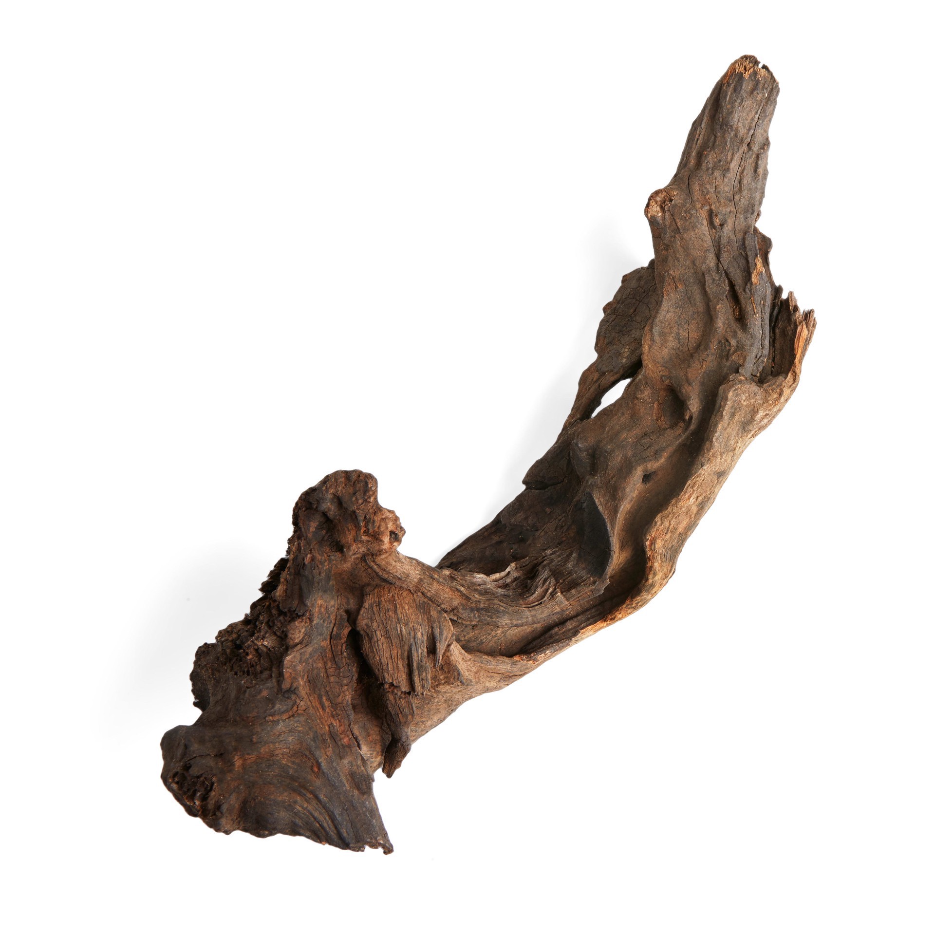 slide 1 of 1, Imagitarium Aquatic Driftwood, Large, 1 ct