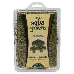 Pearson Foods Aqua Greens Broccoli Sprouts