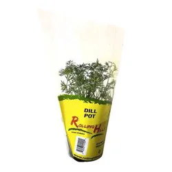 Rolling Hills Greenhouse Dill Pot