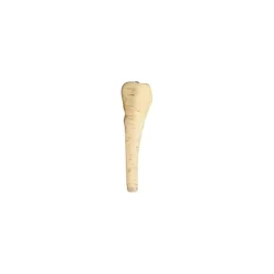 Parsnip