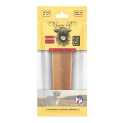 Ylw Yak Dog Yaky Macho